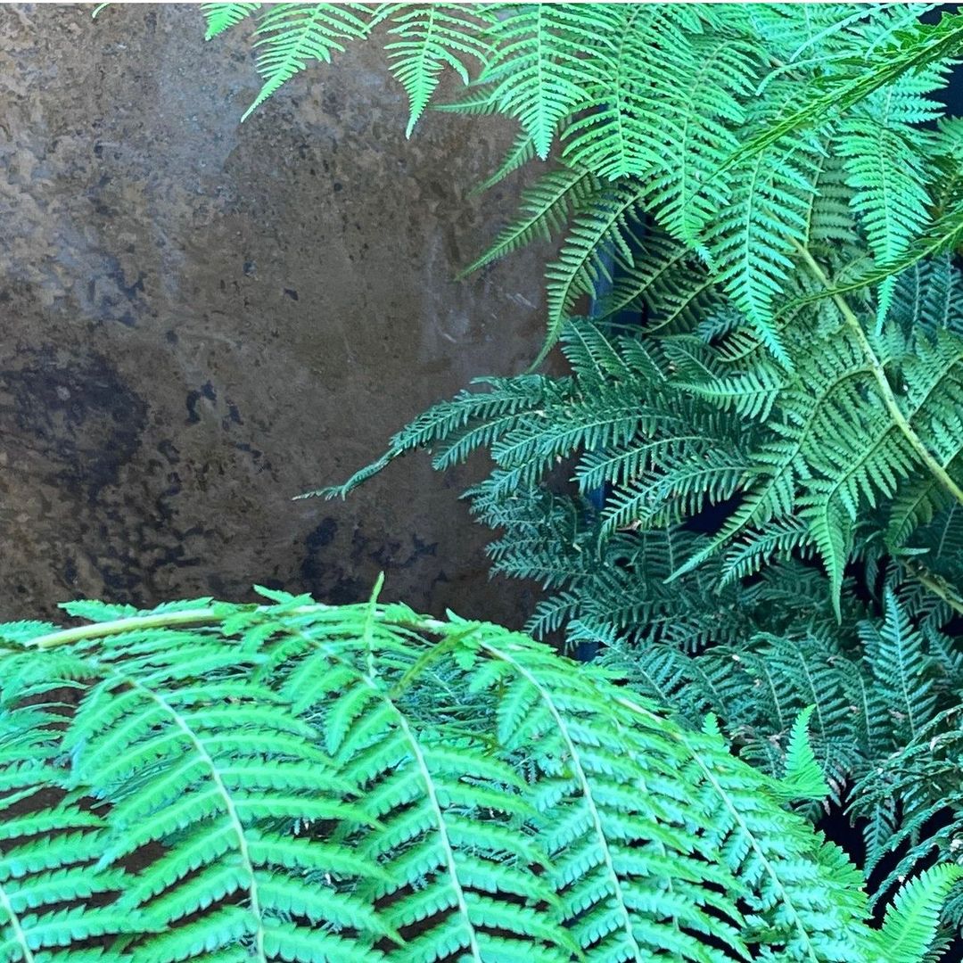 aged copper sheet as garden panel and screen